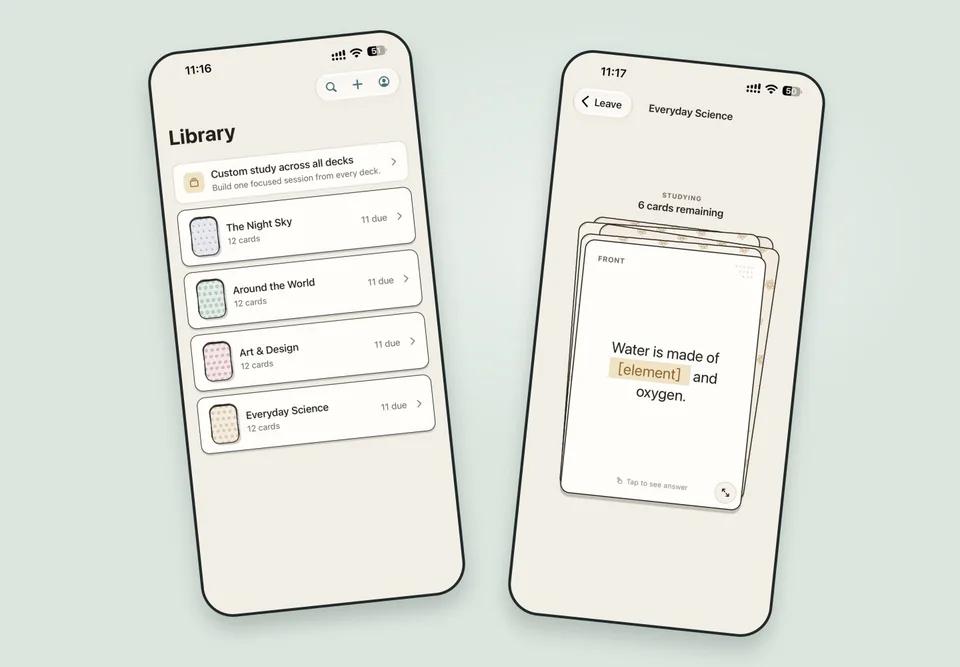 Remnesa: application interface